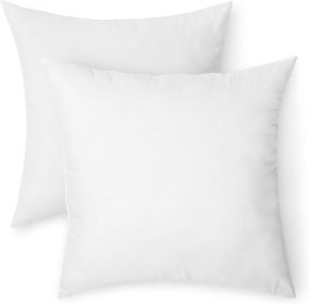 Square Hypoallergenic Pillow Insert, Sofa Bed Couch Decorative Stuffer, 20", 2 Pack